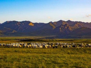 兴海：担使命实干践初心 启新程奋楫绘新篇