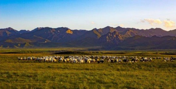 兴海：担使命实干践初心 启新程奋楫绘新篇